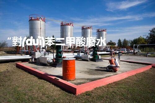 “對(duì)苯二甲酸廢水處理，綠色創(chuàng)新引領(lǐng)環(huán)保新篇章”
